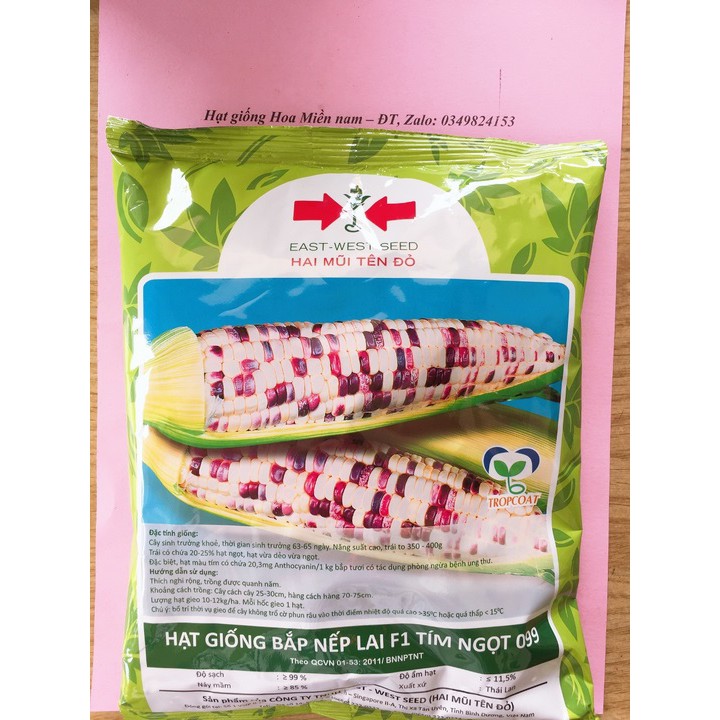 Hạt giống Bắp nếp Tím Ngọt 099 - 100 gram - Công ty Hai mũi tên đỏ