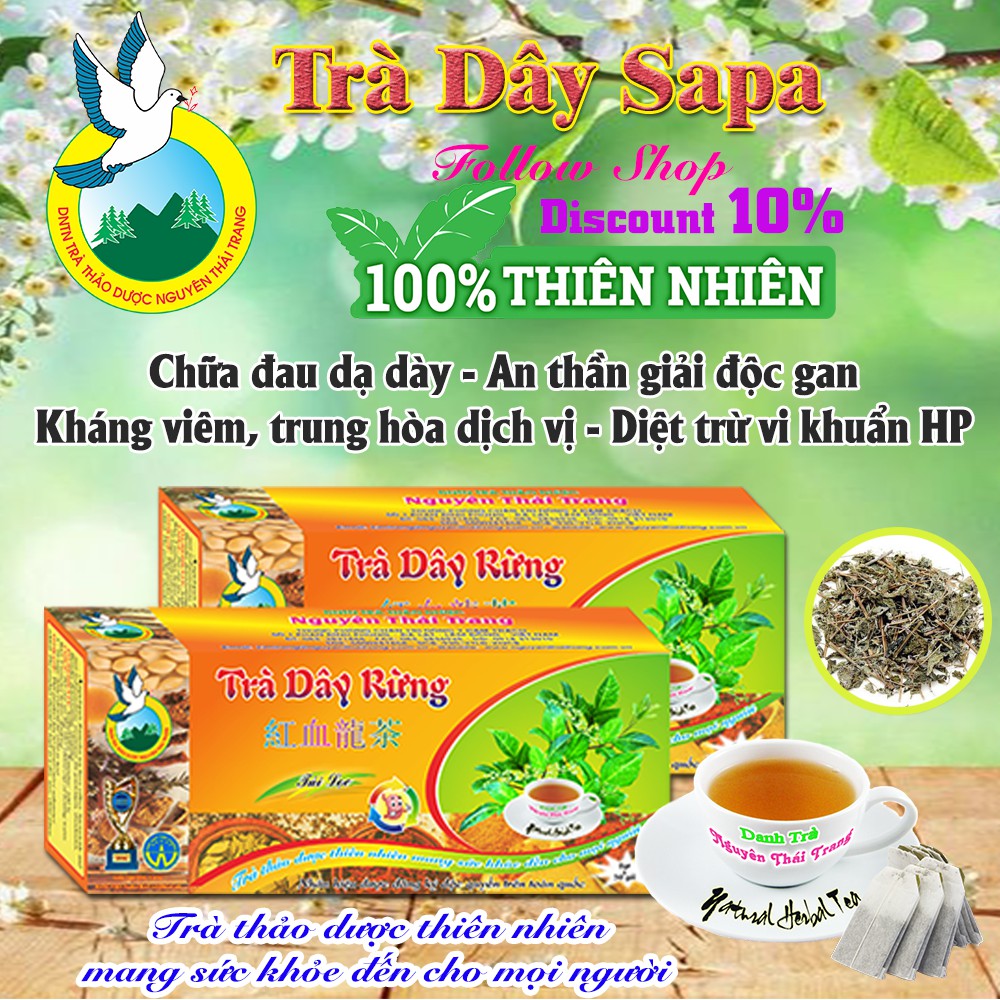 Combo 5 Hộp Trà Dây Rừng Sapa Trị Đau Bao Tử  (Hộp 50 Túi Lọc X 2g)- Nguyên Thái Trang – Thảo Dược Thiên Nhiên