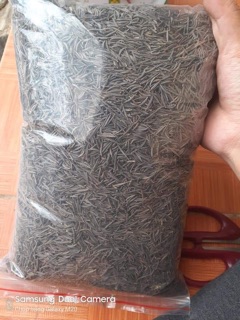 1kg hạt sao nhái