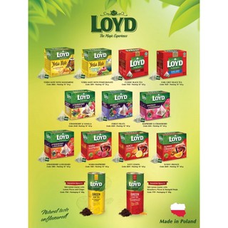  TRÀ ĐEN - TRÀ TRÁI CÂY LOYD