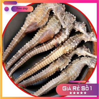 Cá ngựa khô 10 con