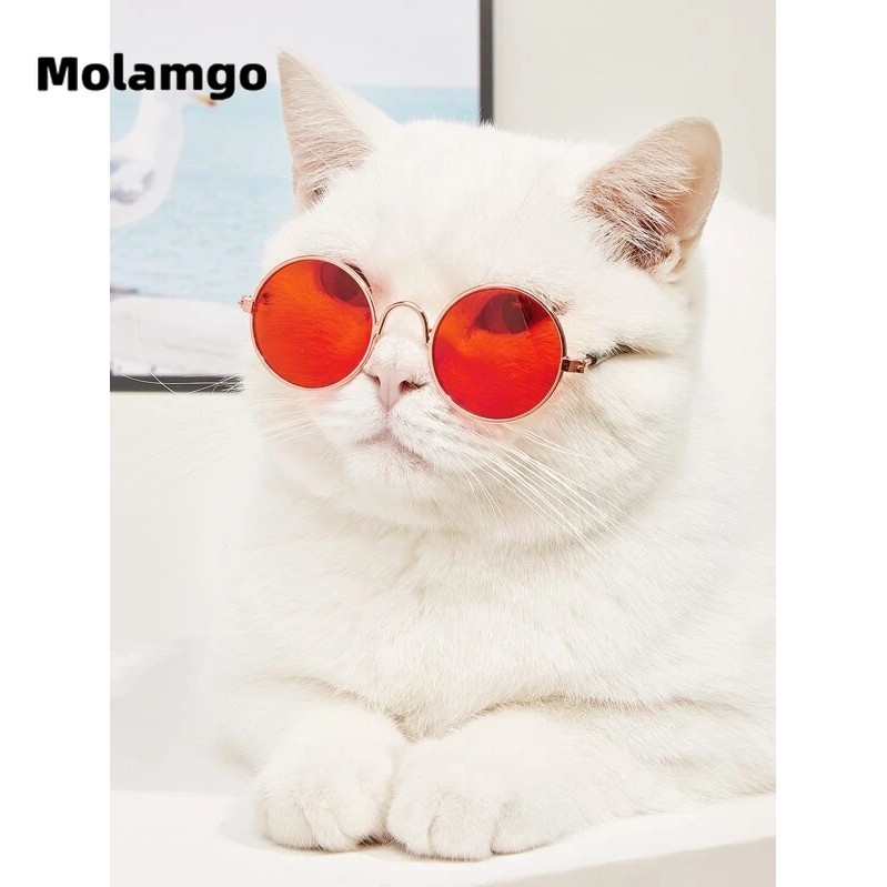 Kính Mát Thời Trang Dành Cho Thú Cưng kính cho chó mèo kính cho chó