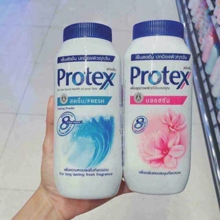 PHẤN LẠNH PROTEX