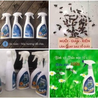 Xịt thảo mộc 10s