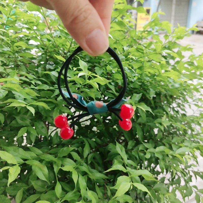 Cột tóc xinh,cột tóc xinh dành cho nữ.