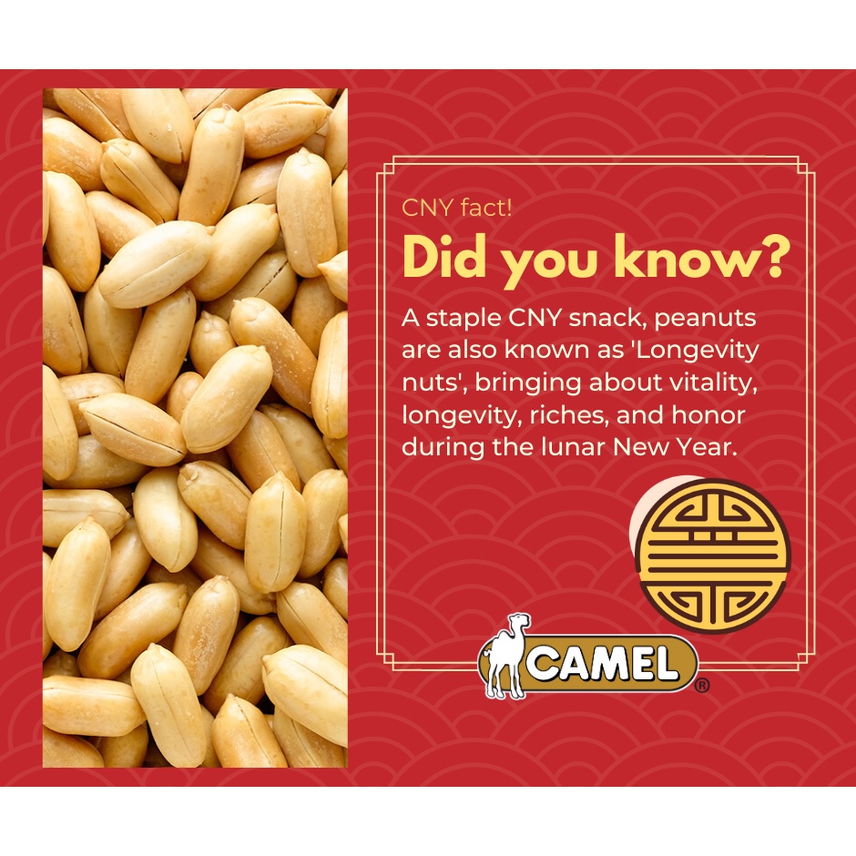 ĐẬU PHỘNG ĐƯỜNG CAMEL