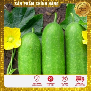 Hạt Giống Bí Đao Chanh - 0,5gr