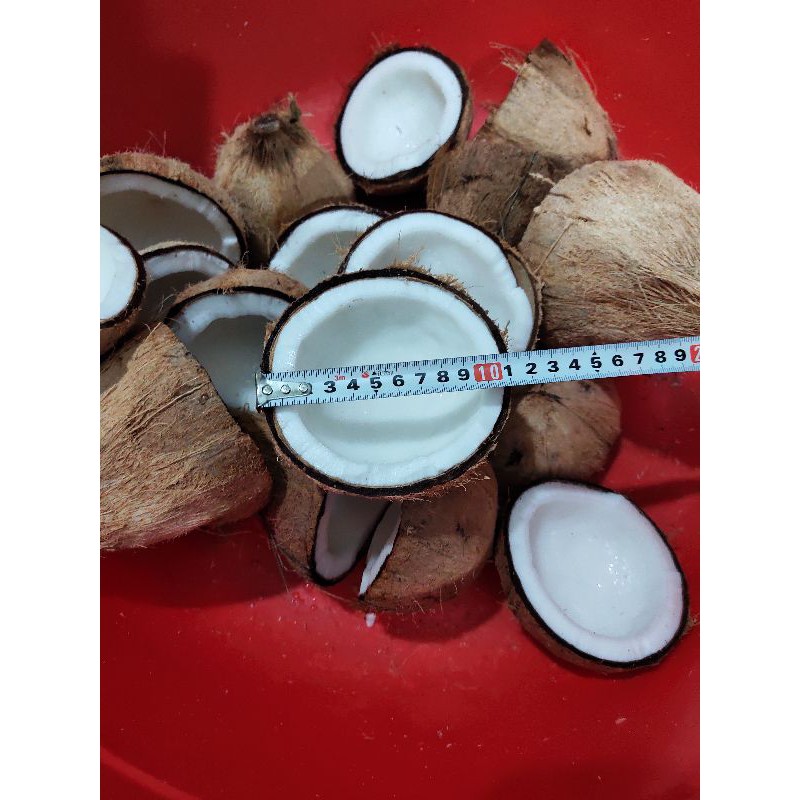 Dừa khô Bến Tre 700g - 800g/trái | BigBuy360 - bigbuy360.vn