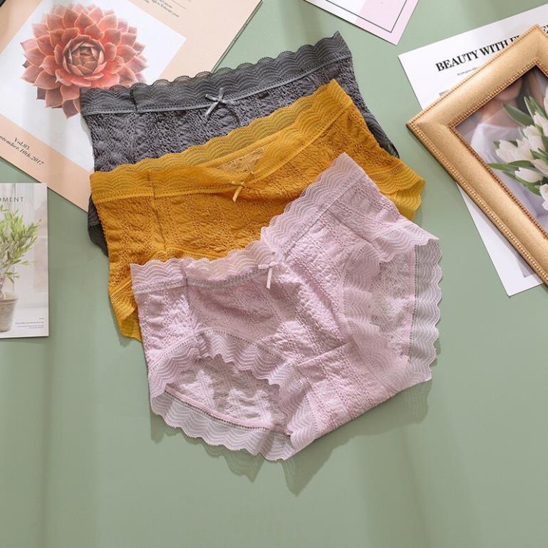 ❤️ Quần Lót Cạp Ren Dệt Kim Co Giãn Thoải Mái, Quần Chíp Kháng Khuẩn 5578 ❤️