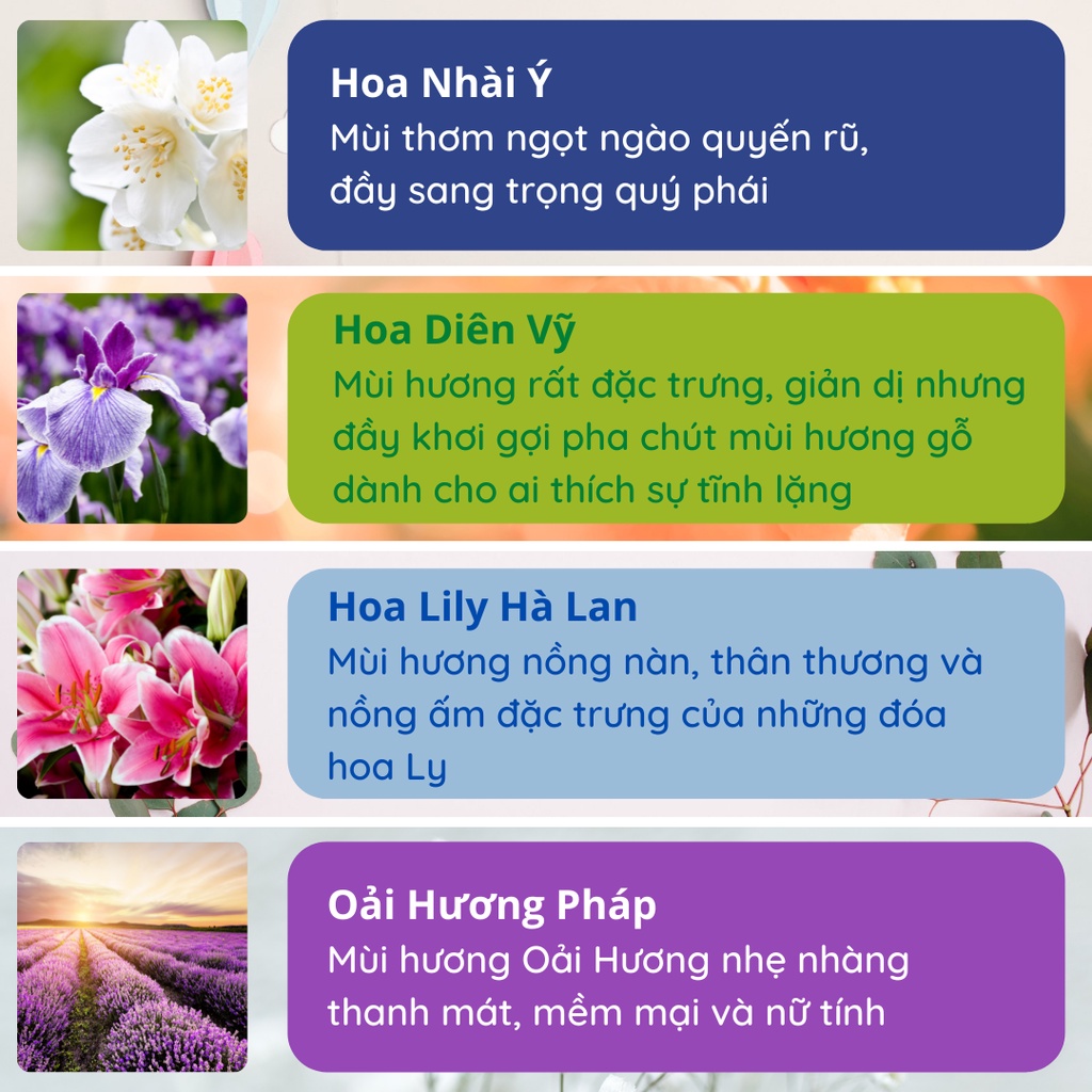 Lọ khuếch tán thơm phòng WIACHNN bổ sung tinh dầu nước hoa thiên nhiên nguyên chất tán hương cao cấp VAROMA KT08