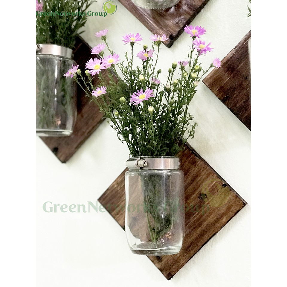 Bình hoa trang trí nội thất điểm nhấn trên tường phong cách Rustic Hanging Mason Jar GnG interiors