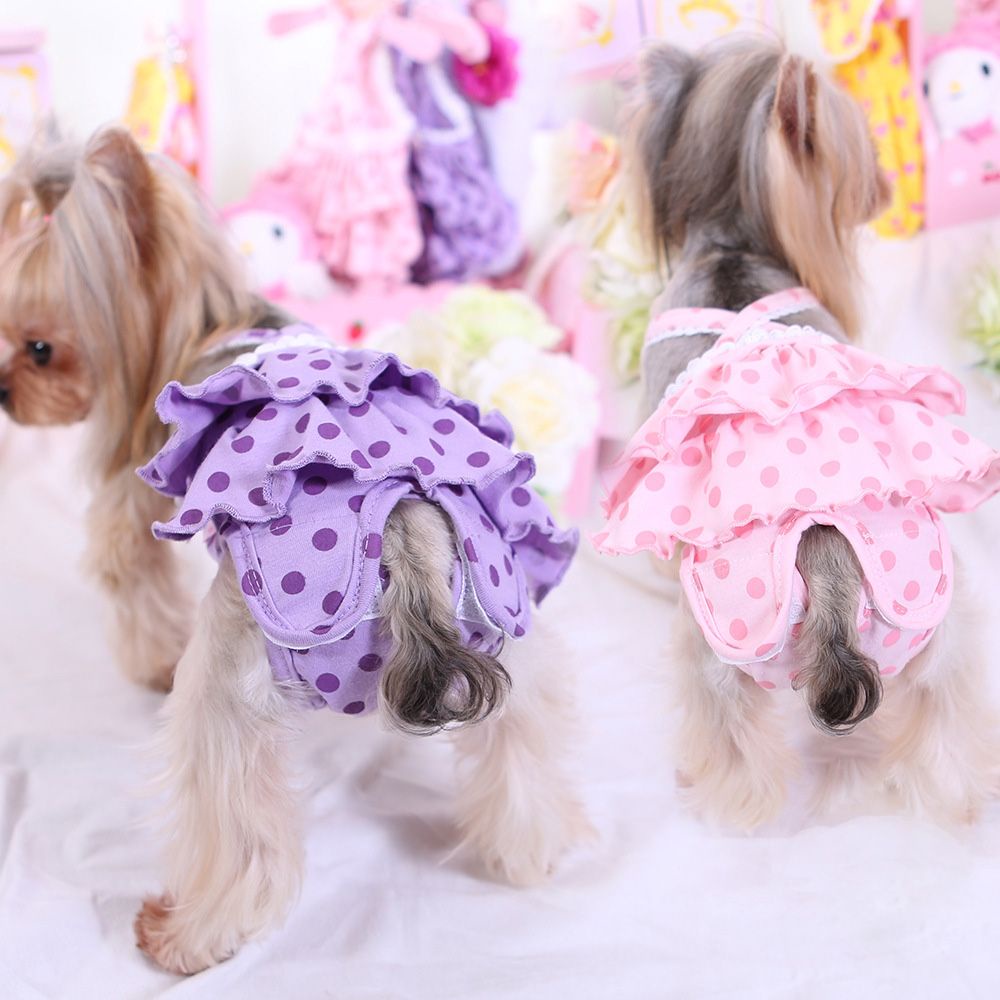 Quần lót sinh lý bằng cotton tùy chỉnh nhiều màu dành cho chó cưng