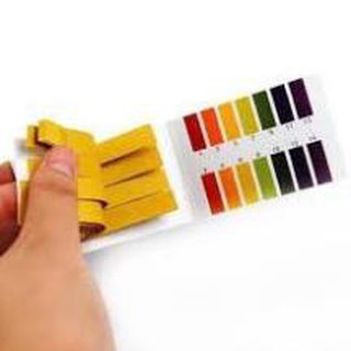 giấy đo ph 1-14, giấy quỳ tím