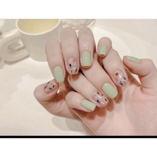 Nailbox móng giả móng úp ẩn xà cừ sắc màu
