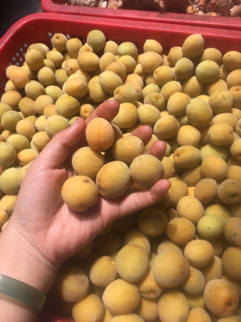 Bình 1,5kg nước mơ ngâm đường- mơ mộc châu