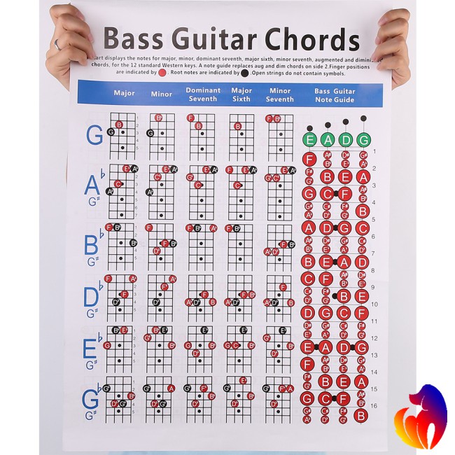 Bảng Hợp Âm Đàn Guitar Bass Hỗ Trợ Dạy Học Tiện Dụng Cho Học Sinh