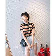 COMBO KHÁCH  HACHI 309