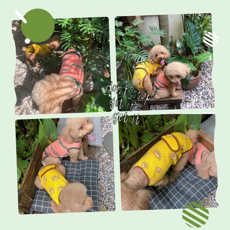 Quần sinh lý thú cưng unisex