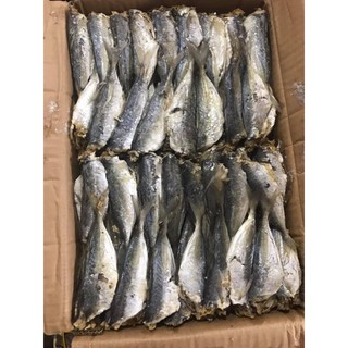 10KG CÁ NỤC HẤP NHẠT