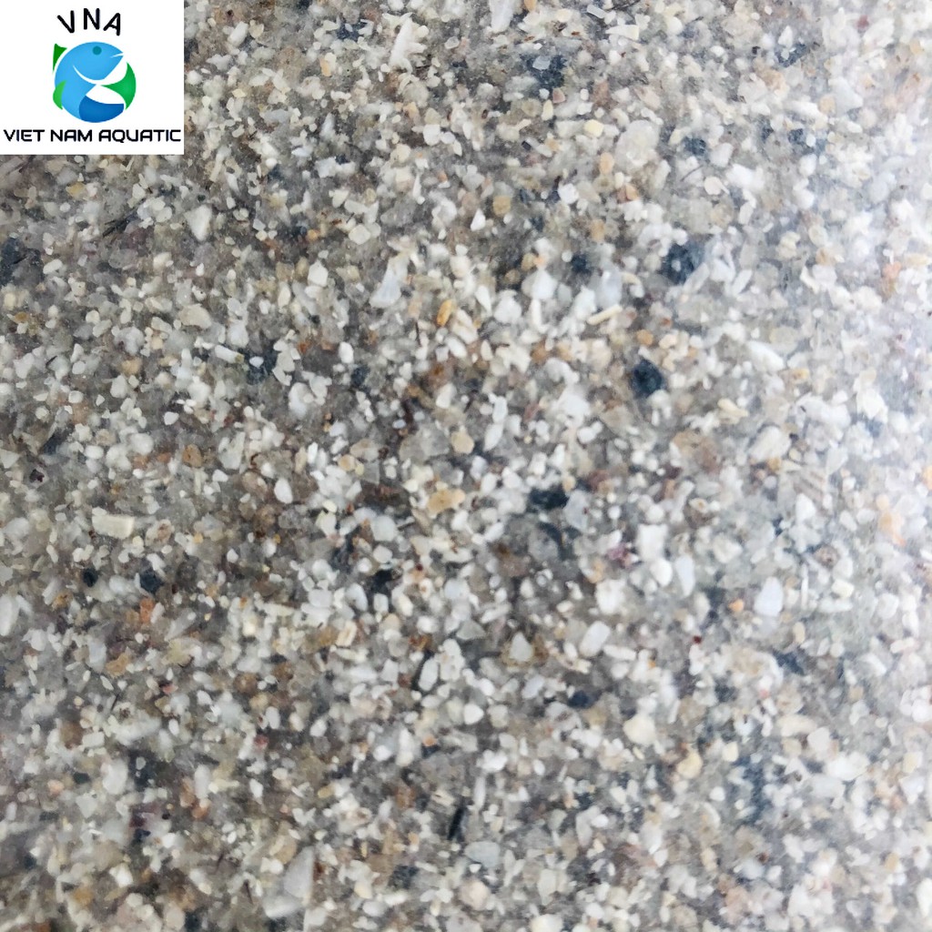 Cát muối tiêu trải nền bể cá