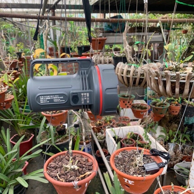 Đèn pin Nhật bãi, chính hãng hiệu Gentos siêu sáng, từ 800-1000, dùng rất tiện lợi