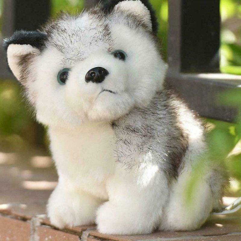 Chó Husky Nhồi Bông Mềm Mại Dễ Thương