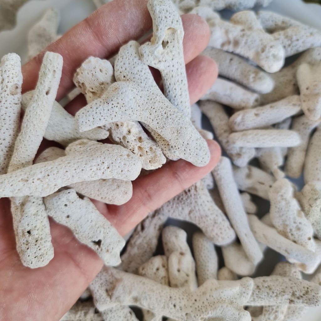 San hô vụn lọc nước, tăng pH ,trang trí bể cá cảnh