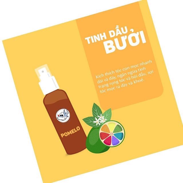 PRO POMELO Hair Mist - Xịt Bưởi Kích Mọc Tóc X2 ( Handmade ) | BigBuy360 - bigbuy360.vn