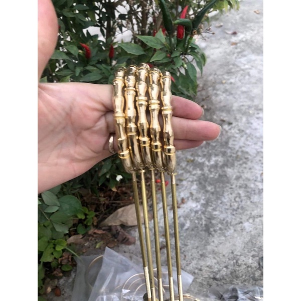 Móc lồng mào mi choè khuyên