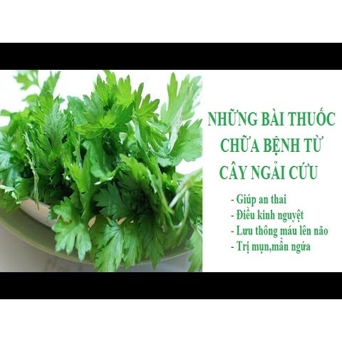 500gr Ngải Cứu Cây+Lá Khô