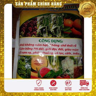 Chế phẩm sinh học nấm đối kháng Trichoderma Bacillus