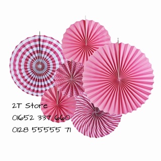 Set hoa rẻ quạt giấy trang trí