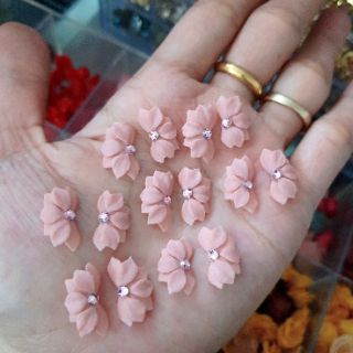 Hoa bột nửa bông( gạt ảnh xem màu)