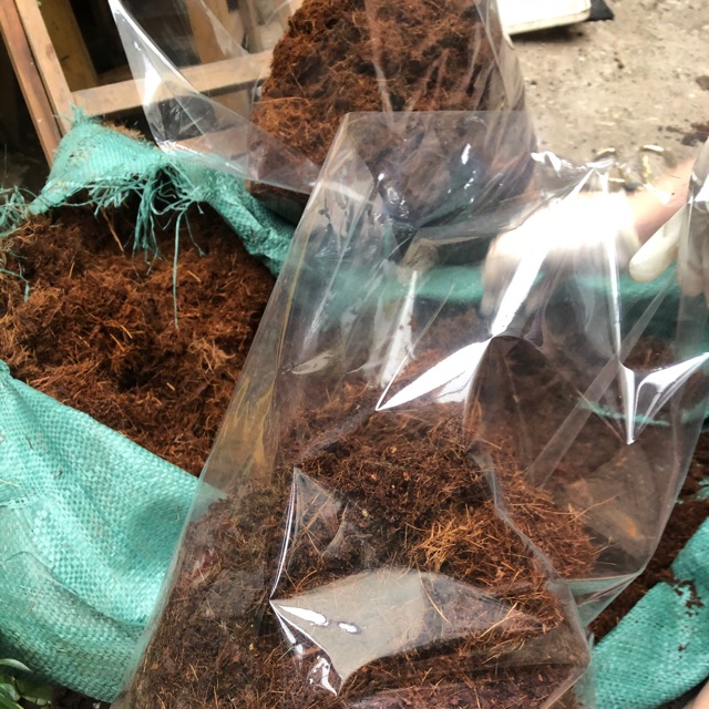 xơ dừa 1kg