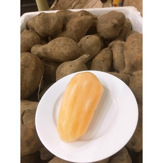 khoai sâm đất (ăn sống )