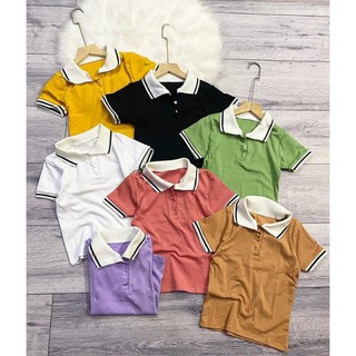 Combo chị duyên trần