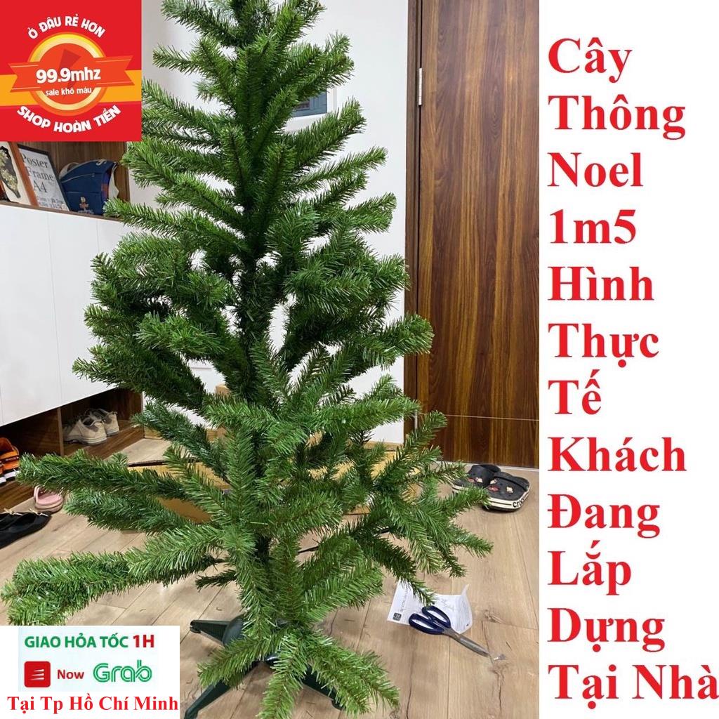 Cây Thông Noel Trang Trí Giáng Sinh 1m5 (150cm) Tặng Kèm 3 Dây Kim Tuyến 1 Ngôi Sao Đỉnh Hàng Việt Nam Chất Lượng Cao