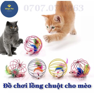 Đồ chơi cho mèo. bóng lồng chuột cho mèo 6cm