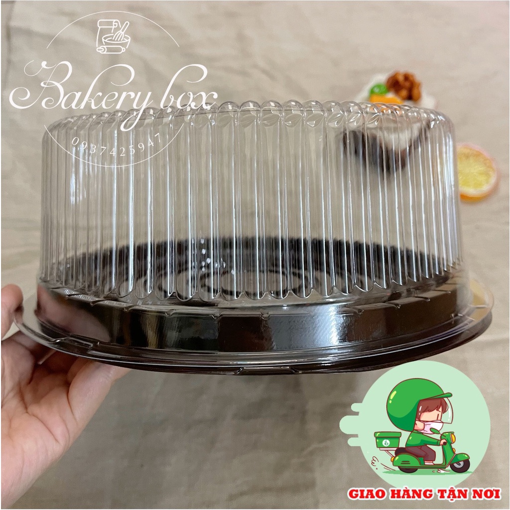 Set 20 | A024 Đựng Bánh Size 20cm Bông Lan Trứng Muối - Tiramisu