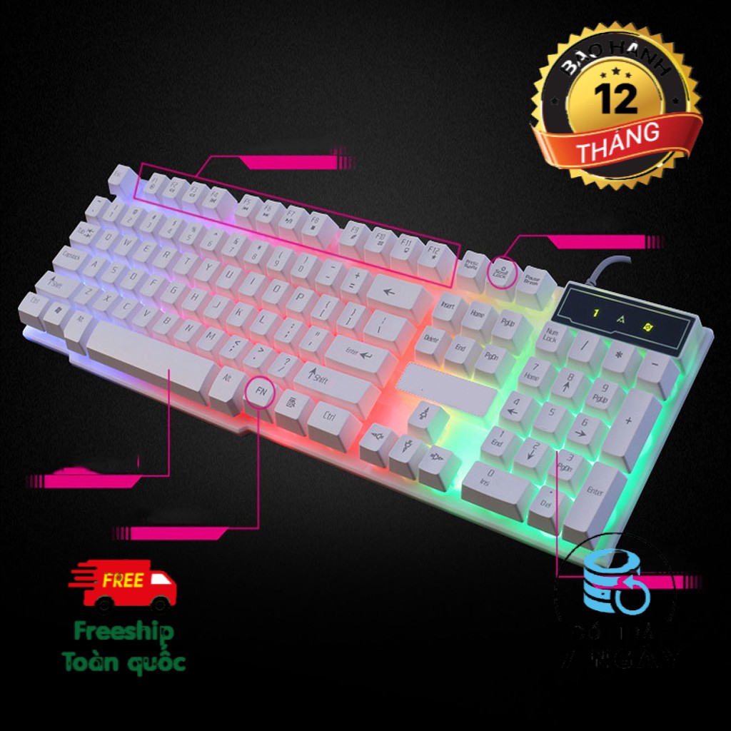 Bàn phím máy tính Giả Cơ EVESKY BQ08K Ấn Tượng