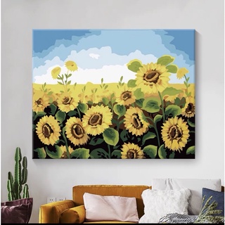 TRANH TÔ MÀU THEO SỐ CÁNH ĐỒNG HOA HƯỚNG DƯƠNG