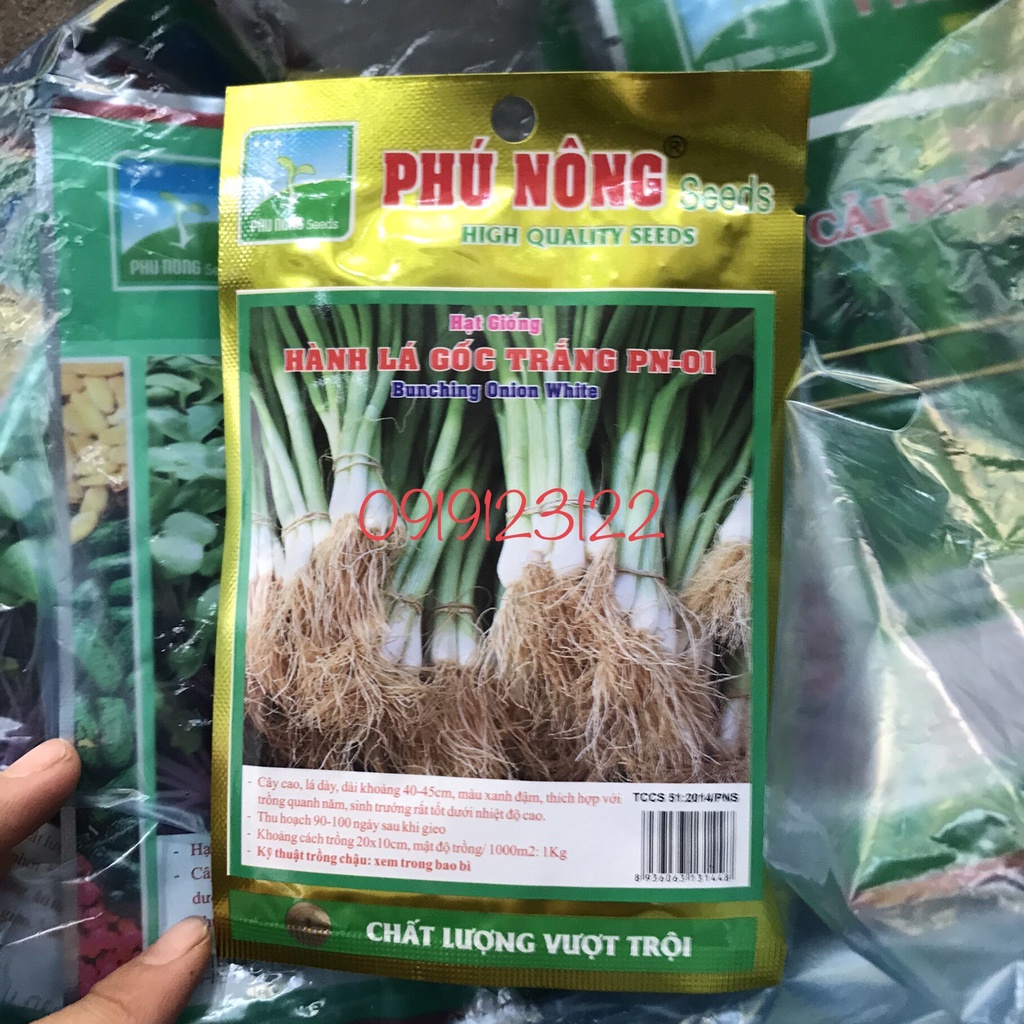 Hạt giống hành hương ( hành lá) gói 2g