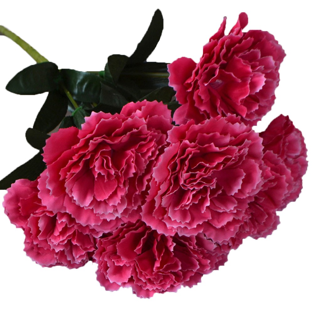 Bó hoa cẩm chướng nhân tạo 5 bông trang trí