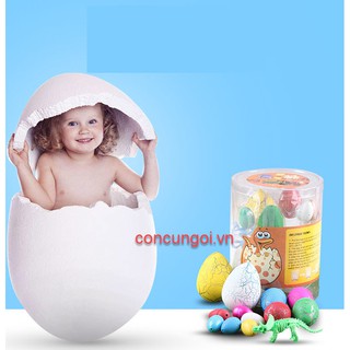 Đồ Chơi ẤP TRỨNG KHỦNG LONG CON (set gồm 12 quả + 1 con khủng long con) - SP348836