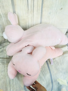 Gối ôm gấu bông miniso