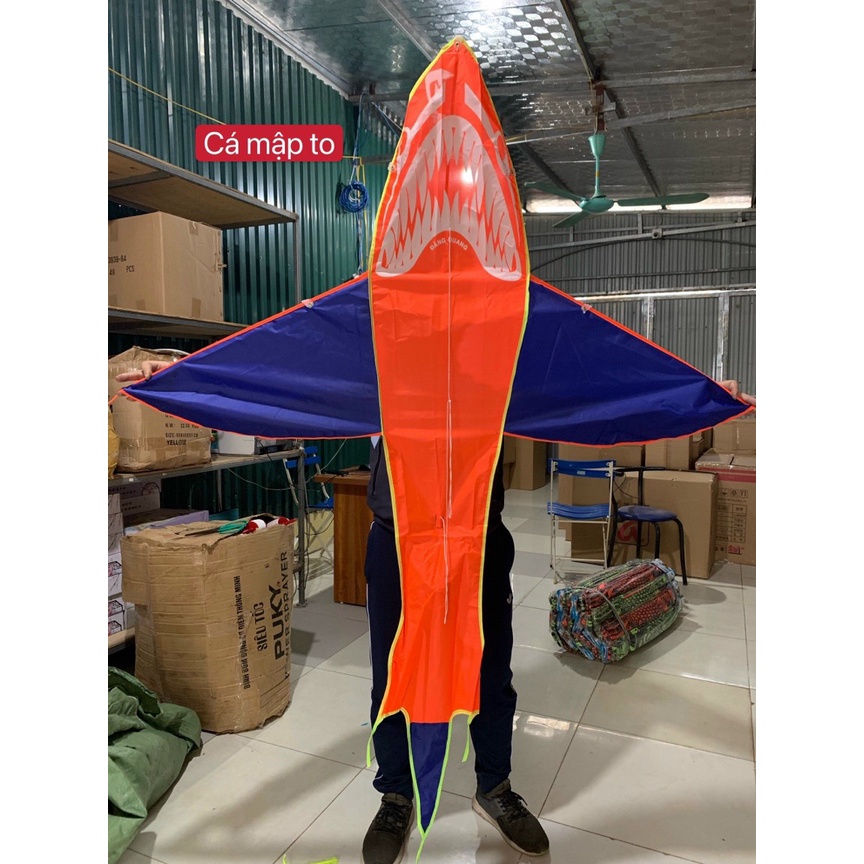 Diều Cá mập to