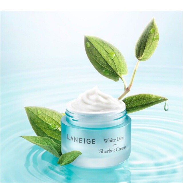 Kem Dưỡng Trắng Laneige White Dew Sherbet Cream 50ml