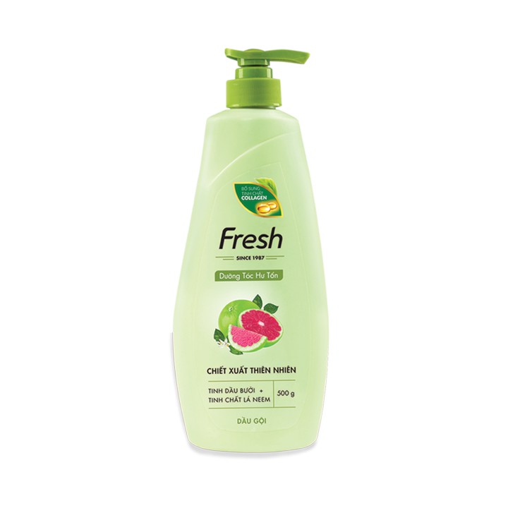 Dầu gội Fresh 550g