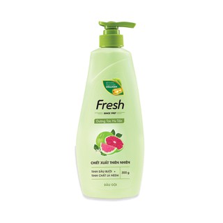 Dầu gội fresh 550g