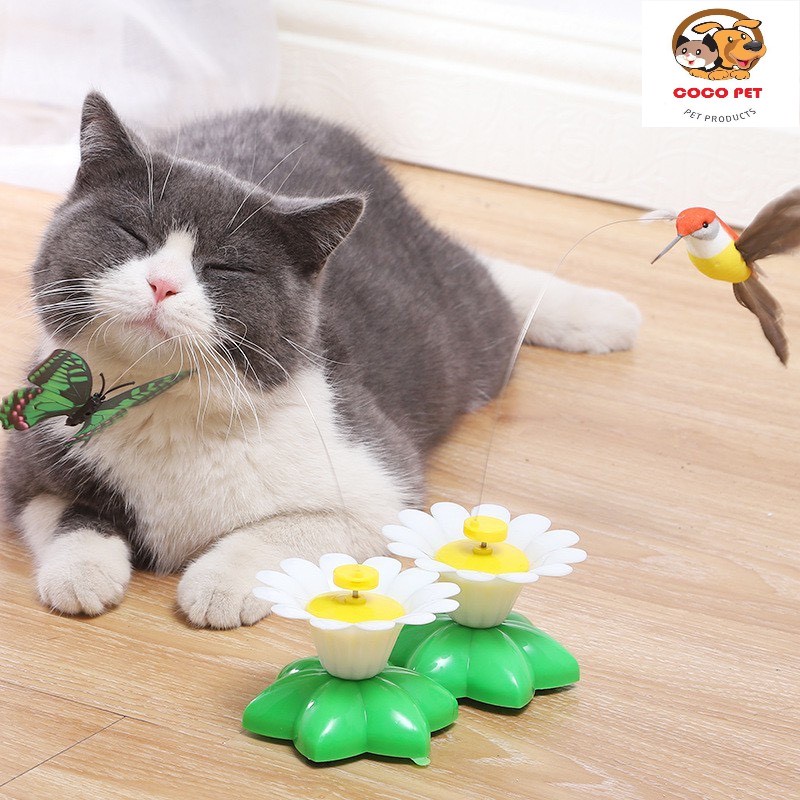 Đồ Chơi Bắt Bư.ớm, Chim Tự Động Bay Lượn Cho Chó Mèo Có Thể Xoay Tròn Độc Đáo